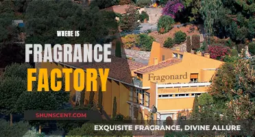 The Fragrance Factory: A Journey Through Scents