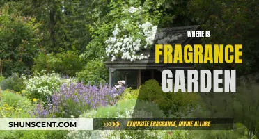 Explore the Fragrance Garden: A Sensory Journey