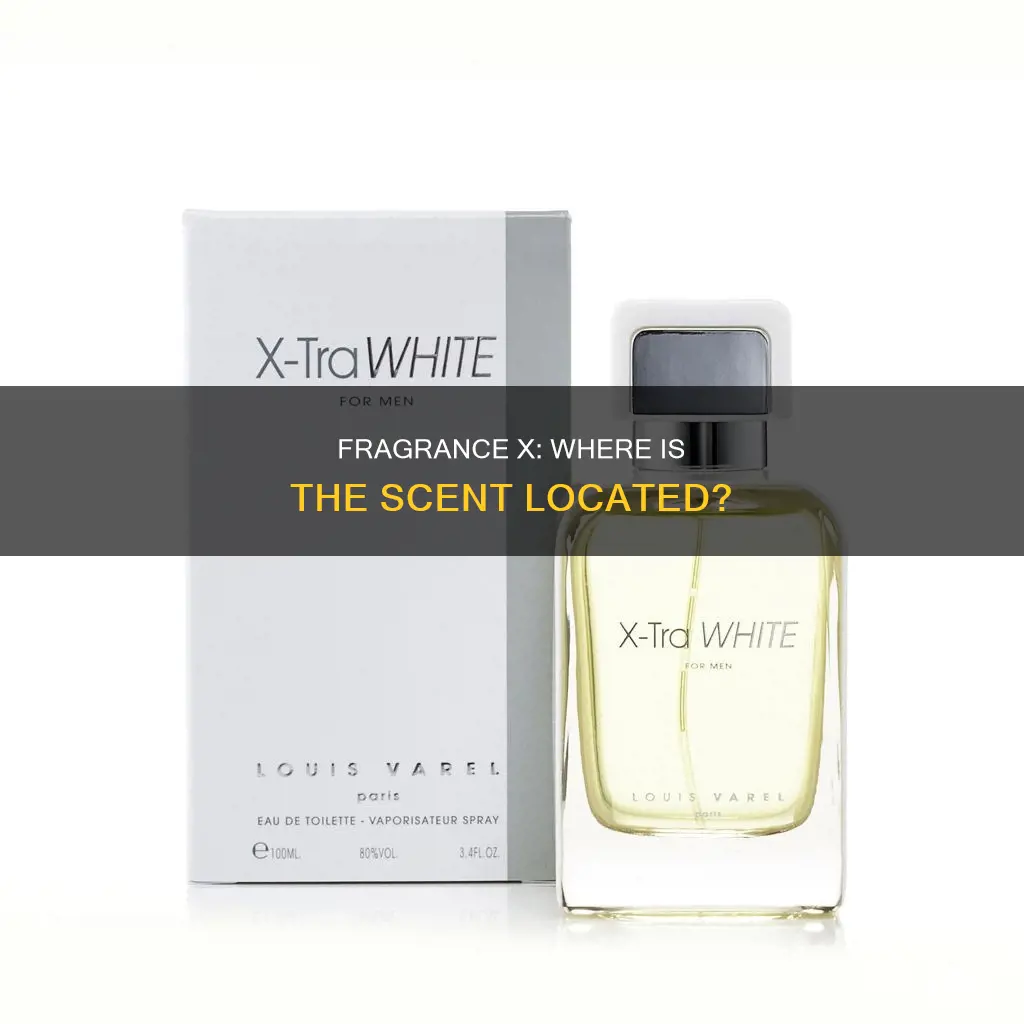 where is fragrance x located
