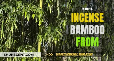 Incense Bamboo: Its Origin and History