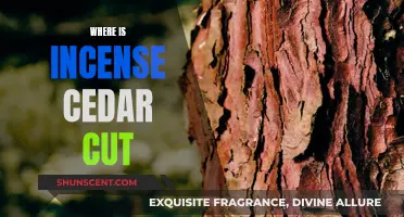 The Best Regions for Incense Cedar Lumber