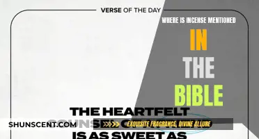 Incense in the Bible: Where is it Mentioned?