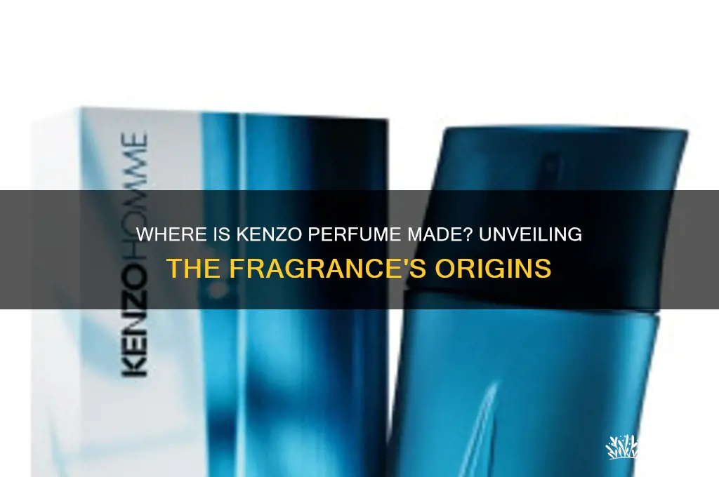 where is kenzo perfume made