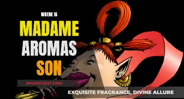 Madame Aroma's Son: A Search for Answers and Truth