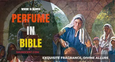 Mary's Perfume in the Bible: Uncovering the Anointing Scene's Location