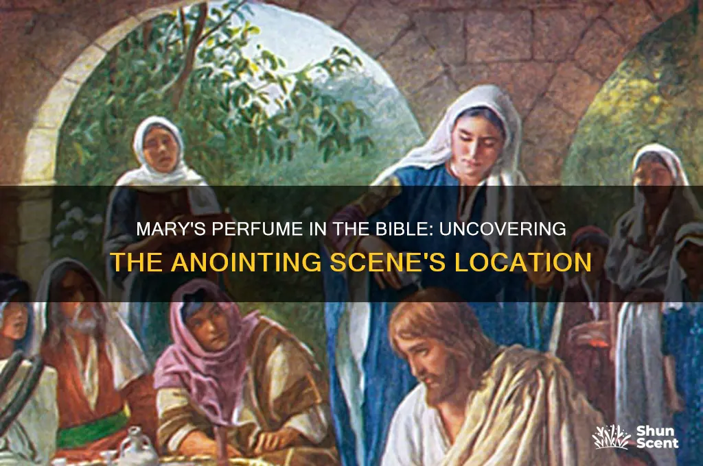 where is marys perfume in bible