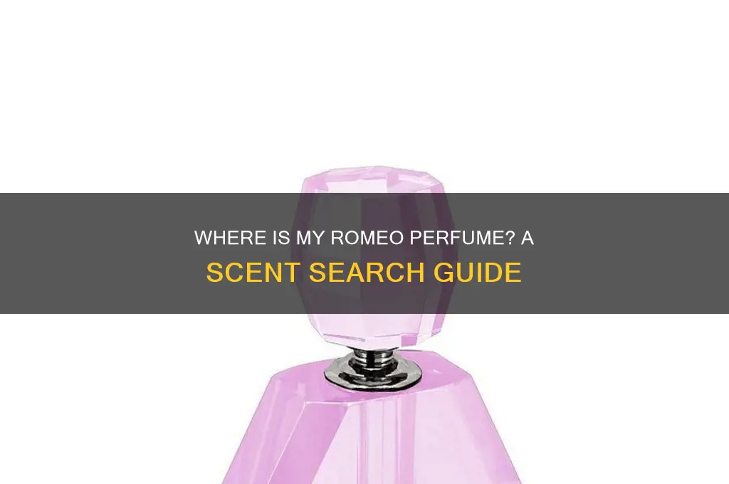 where is my romeo perfume