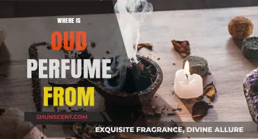 Exploring the Origins of Oud Perfume: A Fragrant Journey