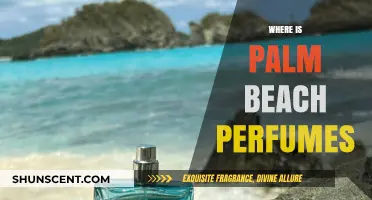 Discovering Palm Beach Perfumes: Location, History, and Signature Scents