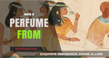 The Origins of Perfume: A Journey Through History and Culture