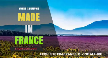 Exploring France's Iconic Perfume Regions: Where Fragrance Magic Happens