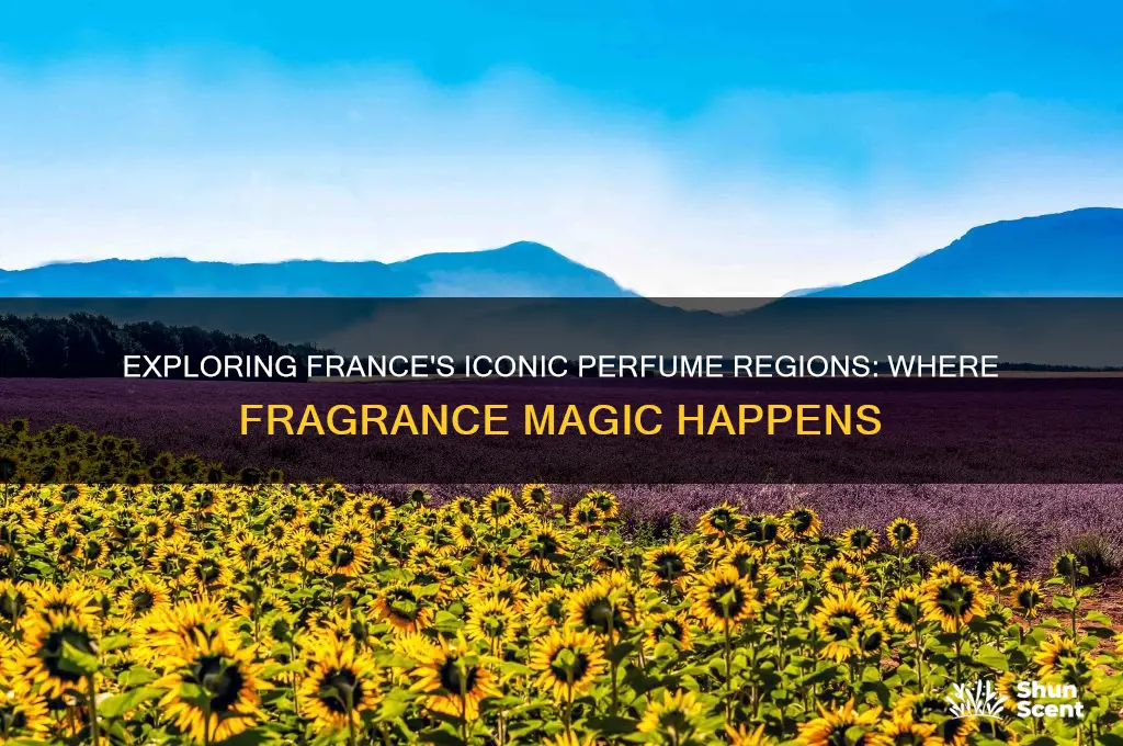 where is perfume made in france