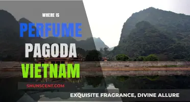 Discovering Vietnam's Perfume Pagoda: Location, Journey, and Spiritual Essence