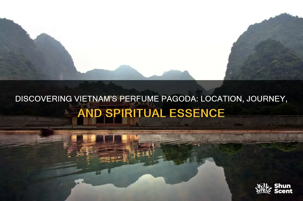 where is perfume pagoda vietnam