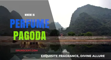 Discover the Enchanting Location of Vietnam's Perfume Pagoda