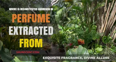 Reconstituted Andronon in Perfume: Unveiling Its Surprising Botanical Source