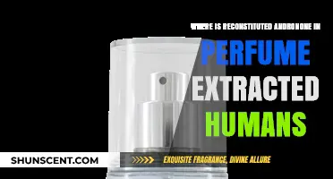 Reconstituted Andronone in Perfumes: Human Extraction Sources Explained