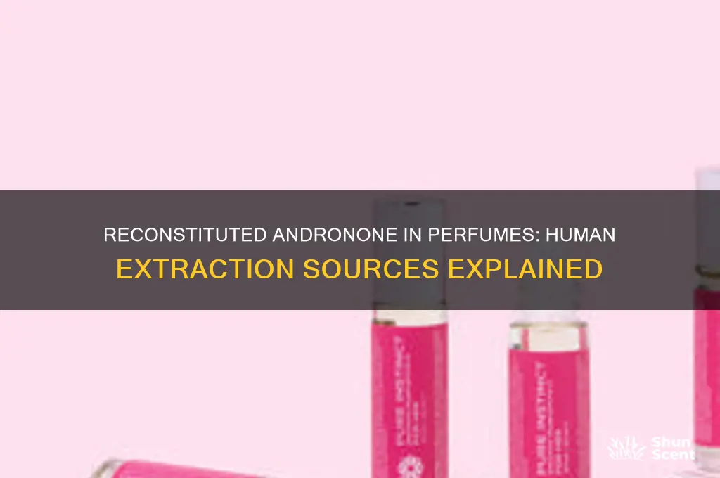 where is reconstituted andronone in perfume extracted humans