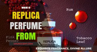 Unveiling the Origins: Where Do Replica Perfumes Really Come From?