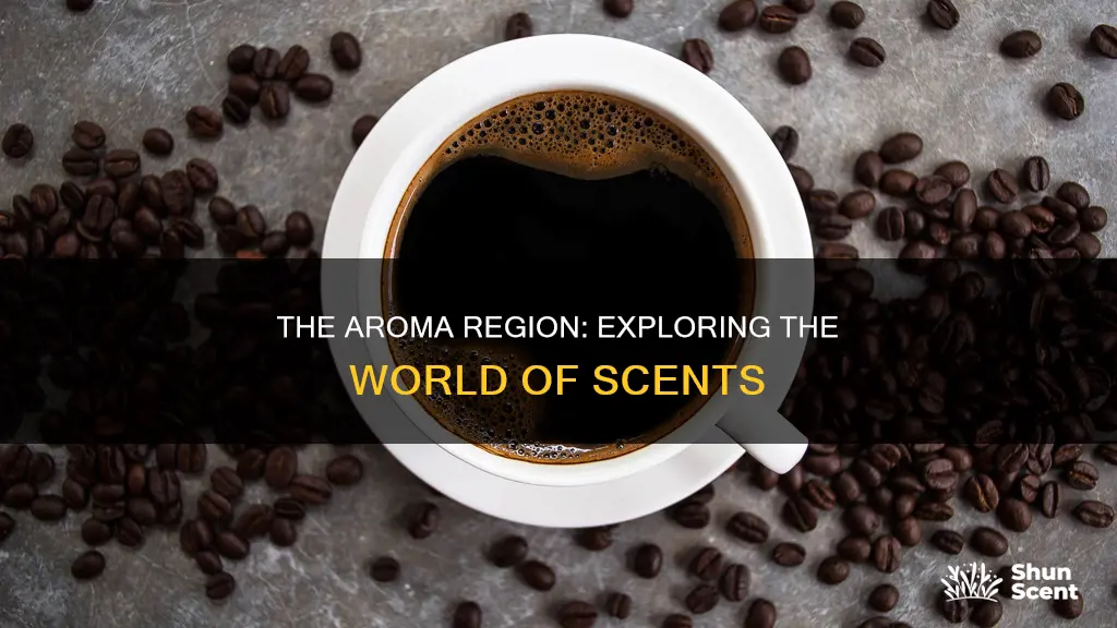 where is the aroma region