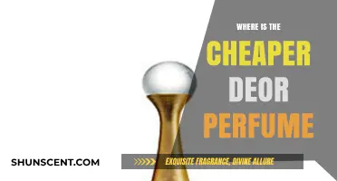 Discover Affordable Dior Perfumes: Top Budget-Friendly Options Revealed