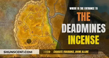 Finding the Entrance to the Deadmines: Incense Secrets