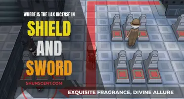 Finding the Lax Incense in Pokémon Sword and Shield