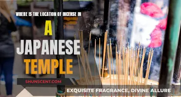 Incense in Japanese Temples: Where's the Right Spot?