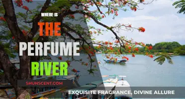 Discovering the Perfume River: Location, History, and Hidden Gems