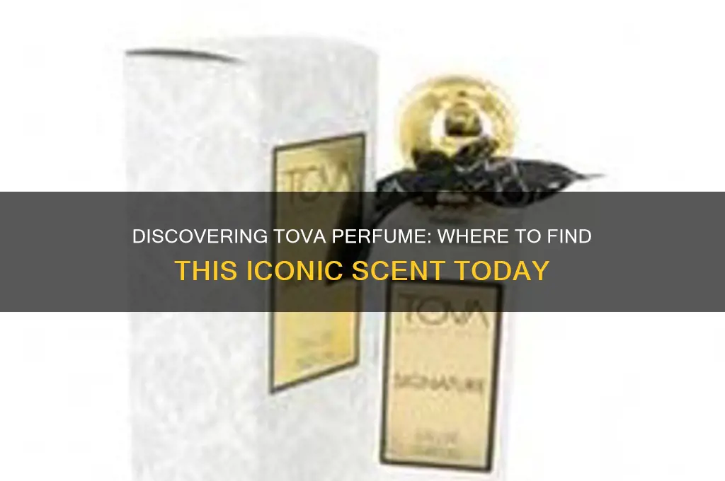 where is tova perfume