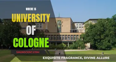 Cologne's University: A Historical Gem in the Heart of Germany