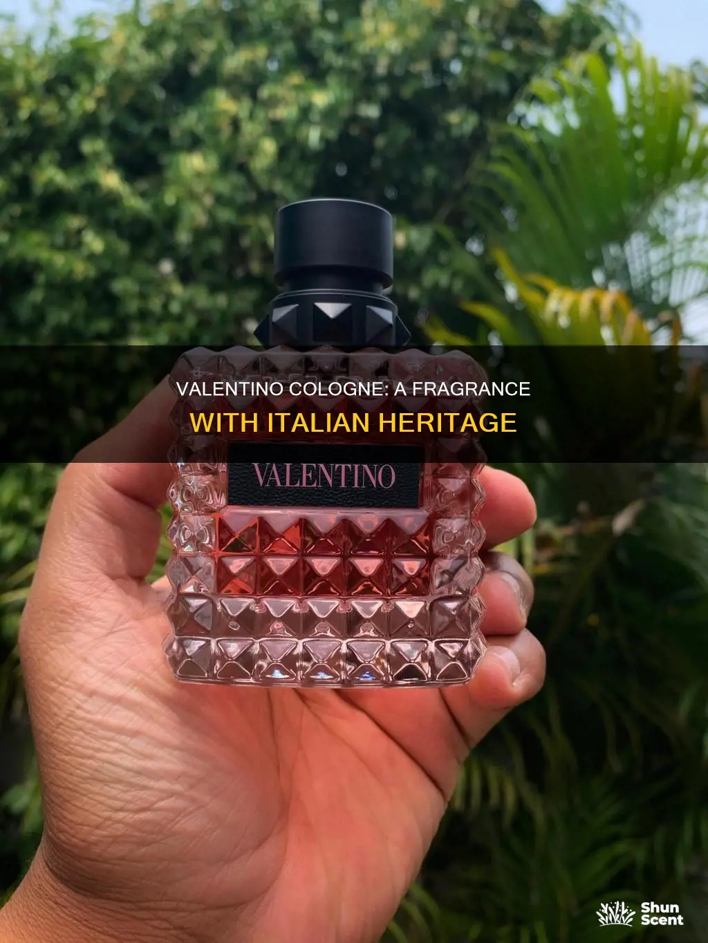 where is valentino cologne from