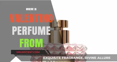 Discovering Valentino Perfume's Origins: A Journey to Its Italian Heritage