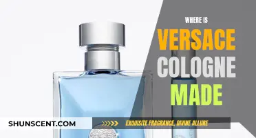 The Making of Versace Cologne: A Fragrant Journey