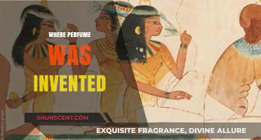 The Ancient Origins of Perfume: A Journey Through Time and Scent