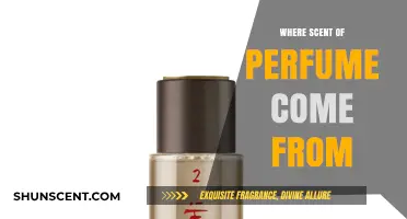 Unveiling the Origins: Where Does the Scent of Perfume Come From?