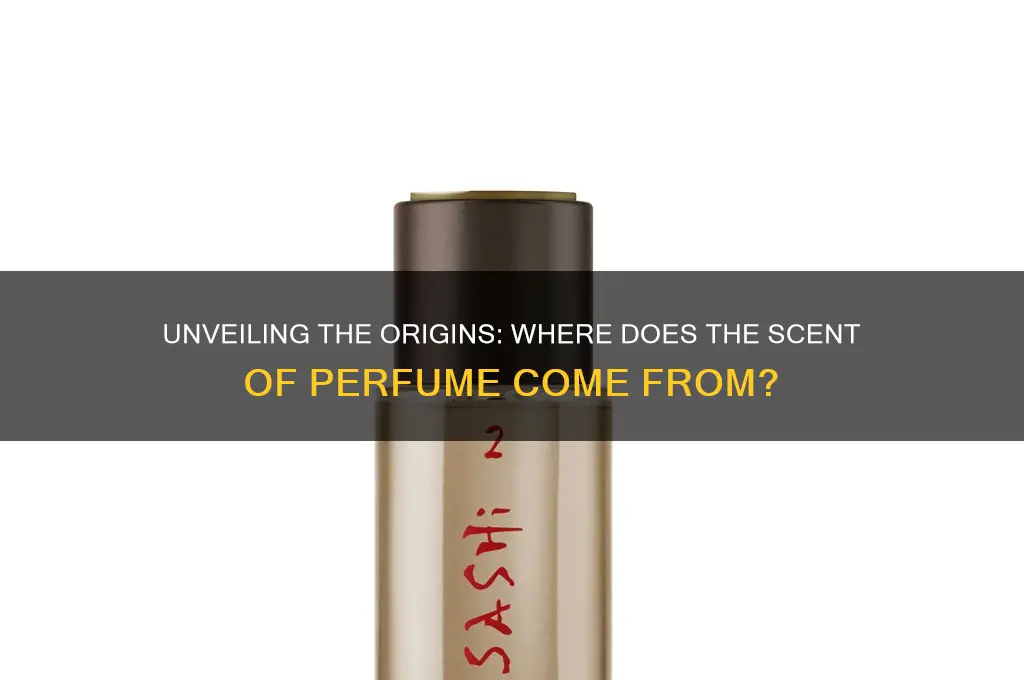 where scent of perfume come from