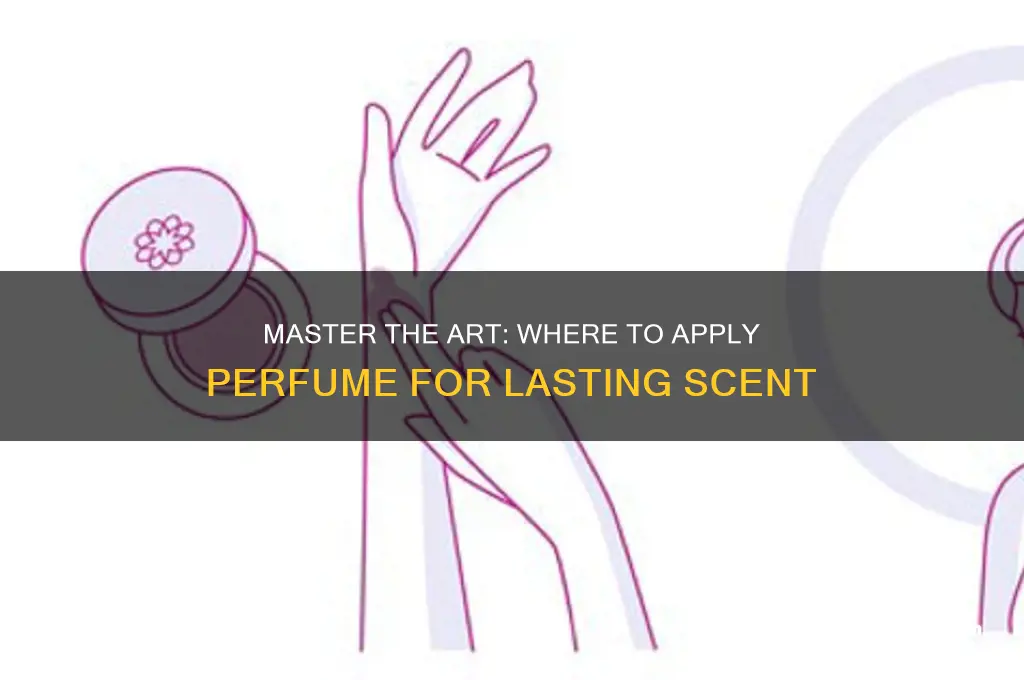 where to apply perfume diagram