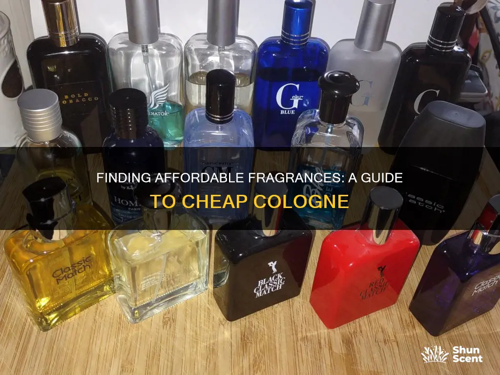 where to but cheap cologne