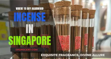 Best Agarwood Incense Shopping in Singapore