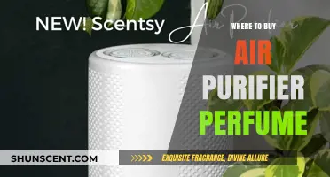 Air Purifier Perfume: Where to Buy?