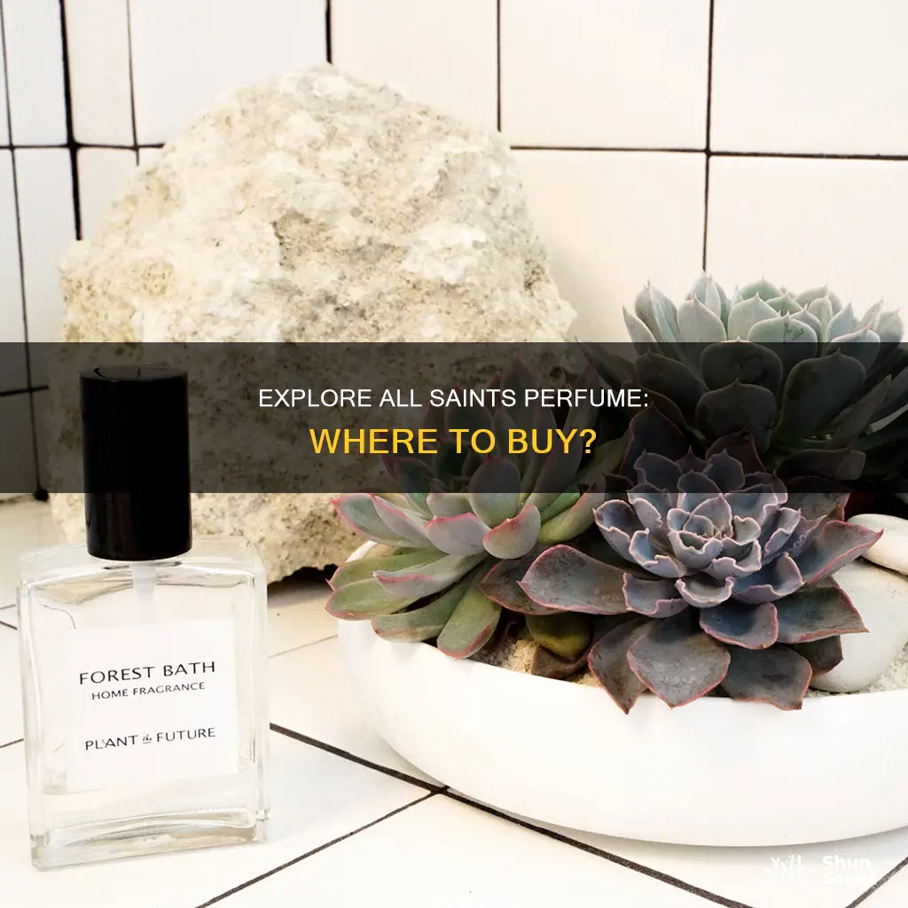 where to buy all saints perfume