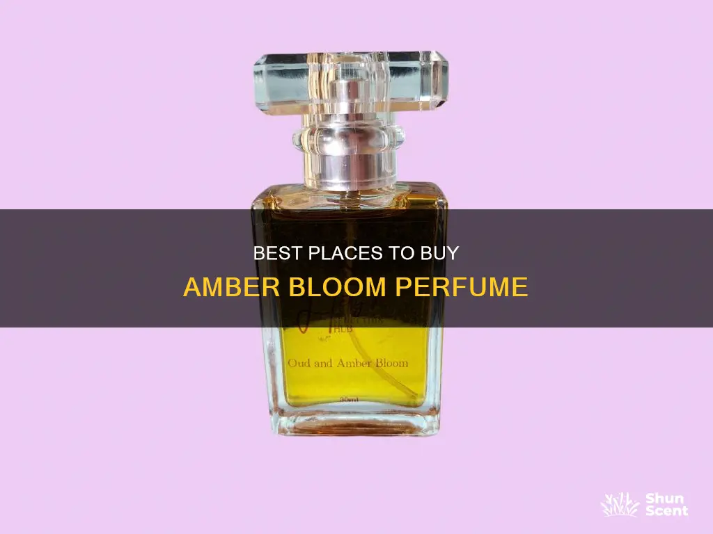 where to buy amber bloom perfume