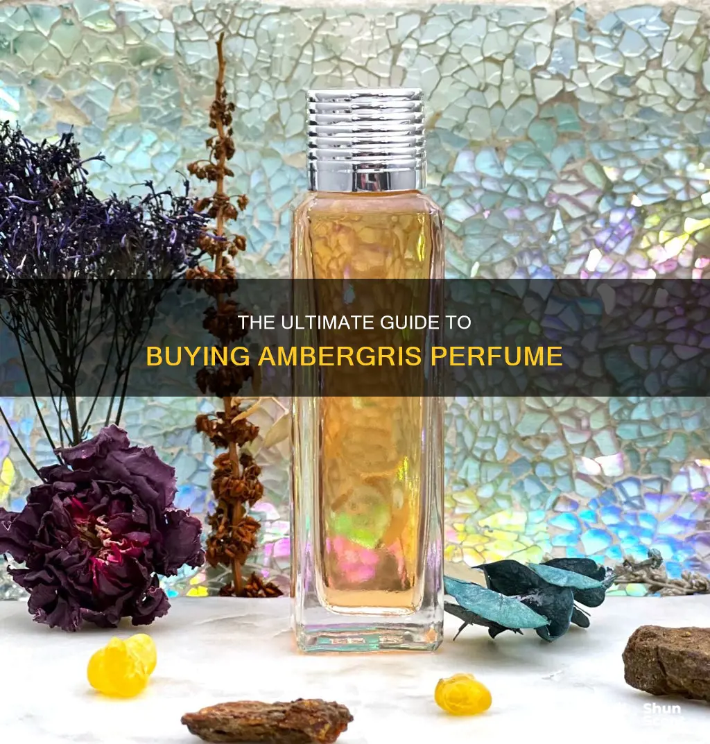 where to buy ambergris perfume