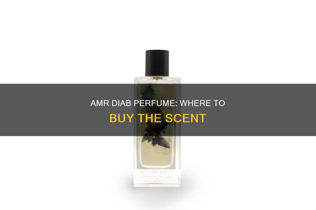where to buy amr diab perfume