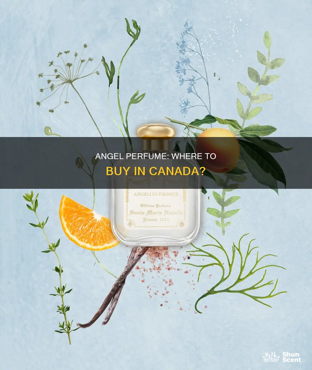 where to buy angel perfume in canada