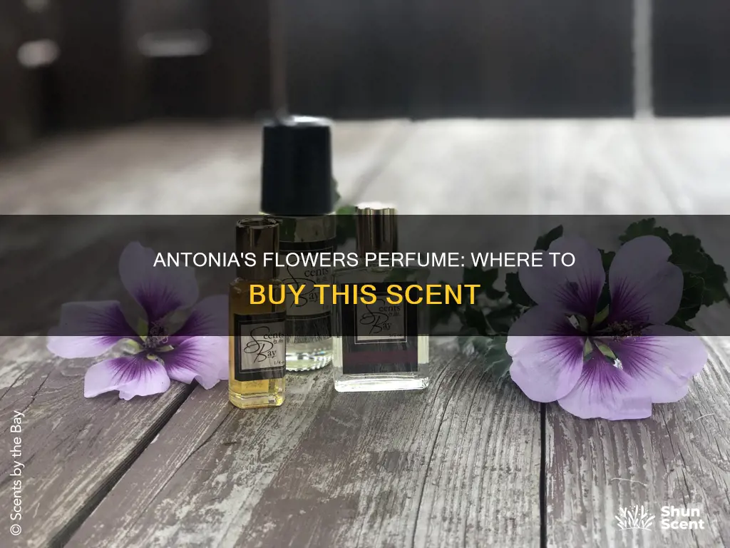 where to buy antonia