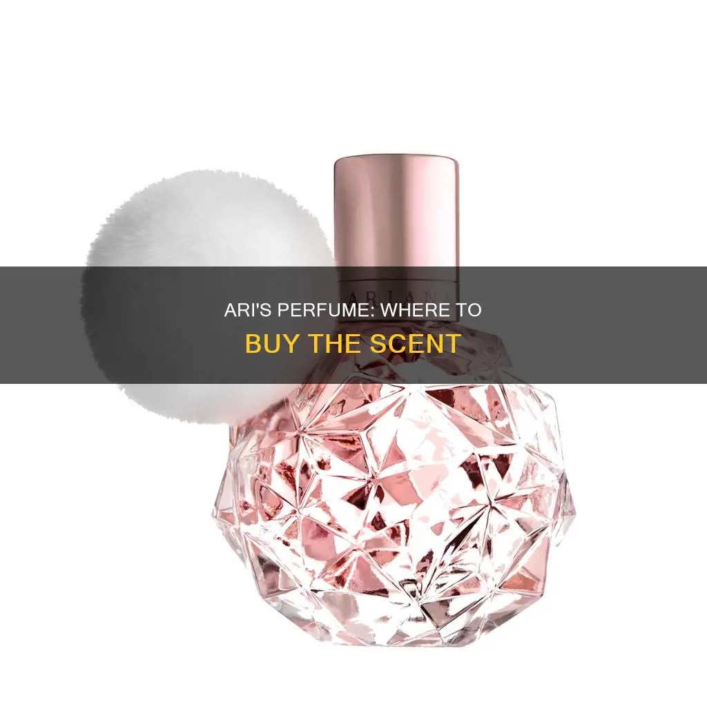 where to buy ari perfume