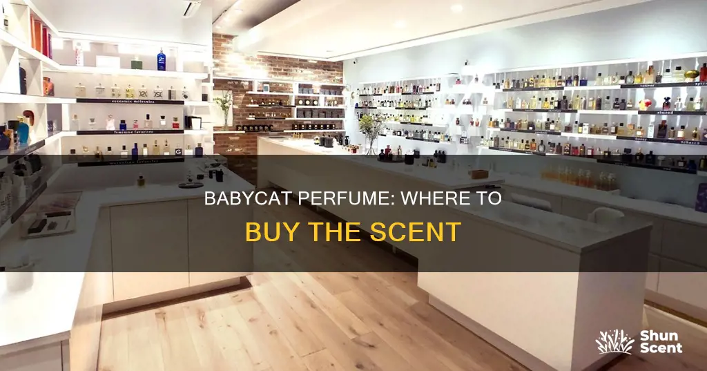 where to buy babycat perfume