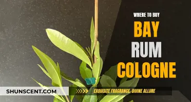 Best Bay Rum Colognes: Where to Buy Them